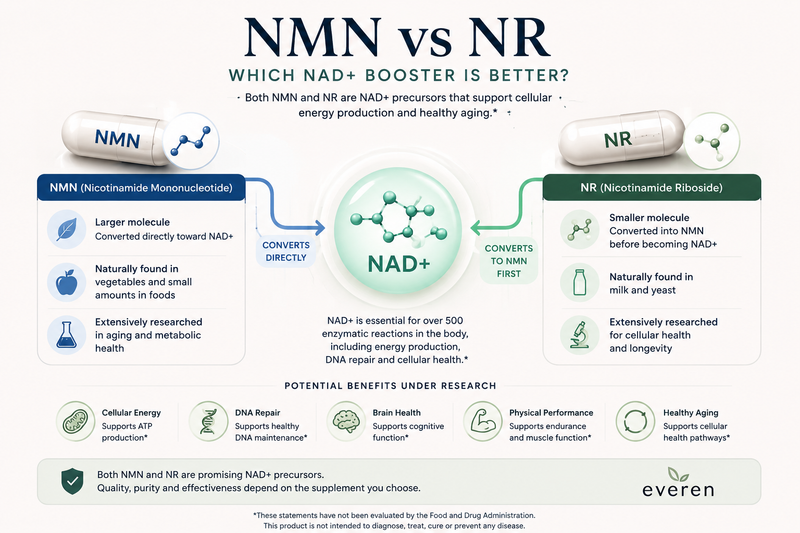 NMN vs NR: Which NAD+ Booster Is Better?
