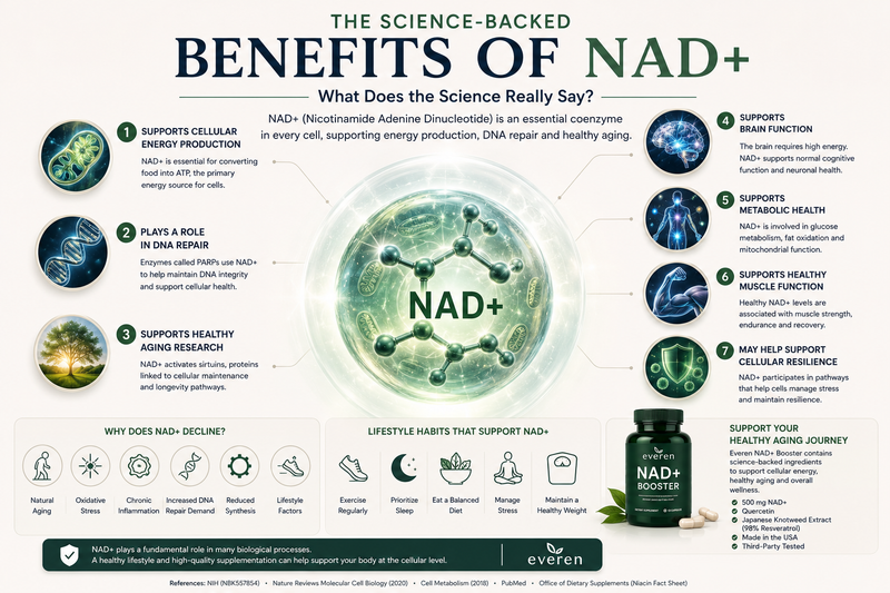 Benefits of NAD+: What Does the Science Really Say? (2026 Guide)