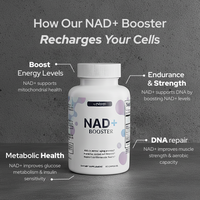 Everen NAD+ Booster